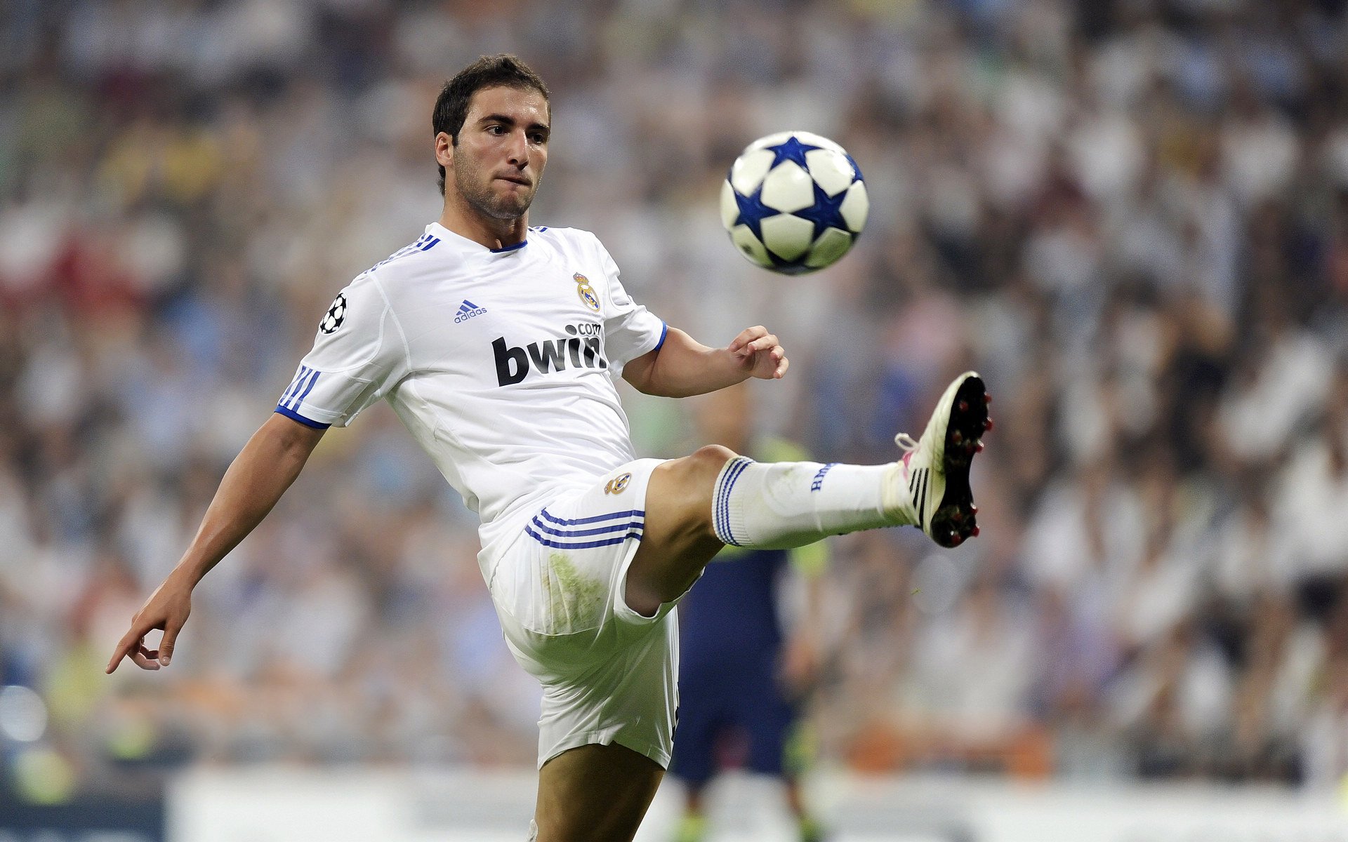 球员在国家队中被视为未来核心并纳入长期规划,球员在国家队和俱乐部有什么不同